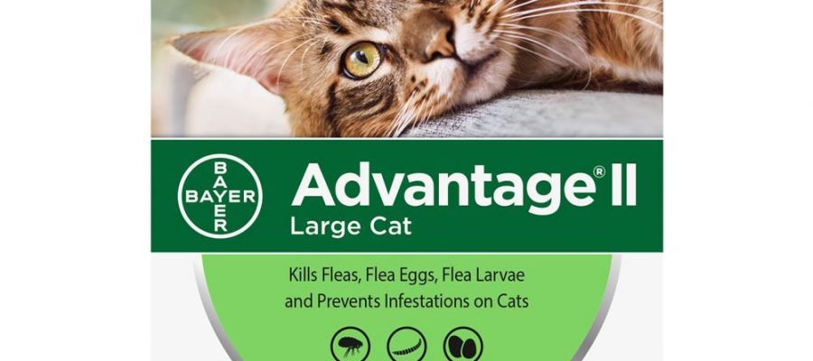 Advantage II Cat 9 lbs (6 Months)