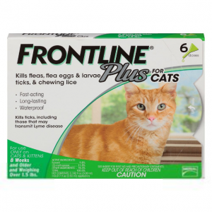 Frontline Plus Cat 6 Month