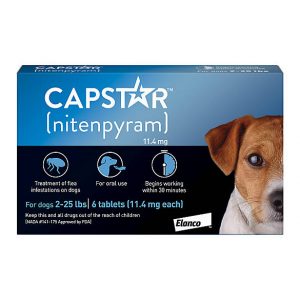 pet shop supplies wholesale