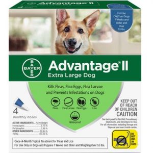 4-month-advantage-ii-flea-control-extra-large-dog-for-dogs-over-55-lbs-37
