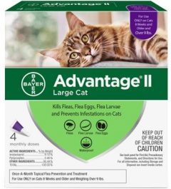 Advantage II Cat 9 lbs 4 Month
