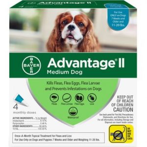 Advantage II Dog 21-54 lbs 4 Month