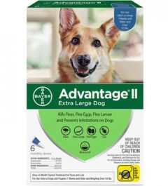 Advantage II Dog 55 lbs 6 Month
