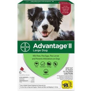 Advantage II Dog 21-54 lbs 6 Month