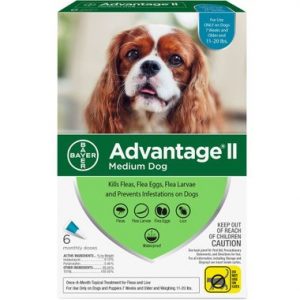 Advantage II Dog 11-20 lbs 6 Month