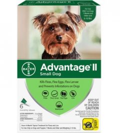 Advantage II Dog 3-10 lbs 6 Month
