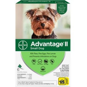 Advantage II Dog 3-10 lbs 6 Month