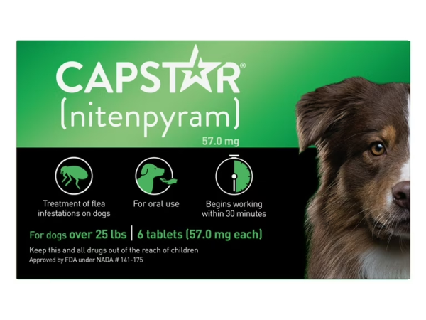 CapAction Green for Dogs 25+lbs (6 Tablets)